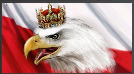 Gniewny Polski orzel
