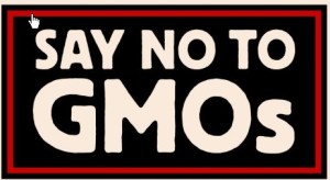 ScreenHunter_1085 Dec. 31 17.04