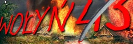 Wolyn 43