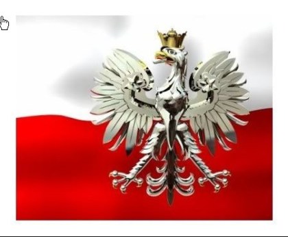 Flaga Polski ze srebrnym orlem