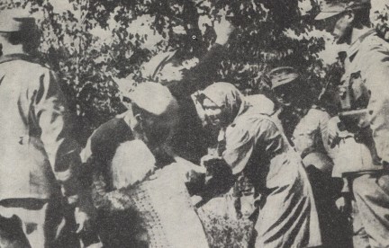 ScreenHunter_1449 Mar. 25 12.22