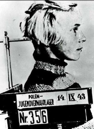 ScreenHunter_1454 Mar. 25 13.03