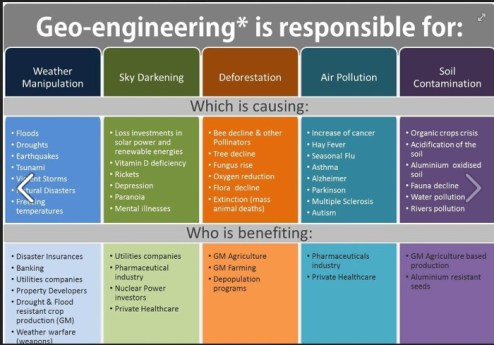 ScreenHunter_1925 May. 13 11.54