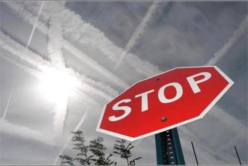 ScreenHunter_1926 May. 13 11.57