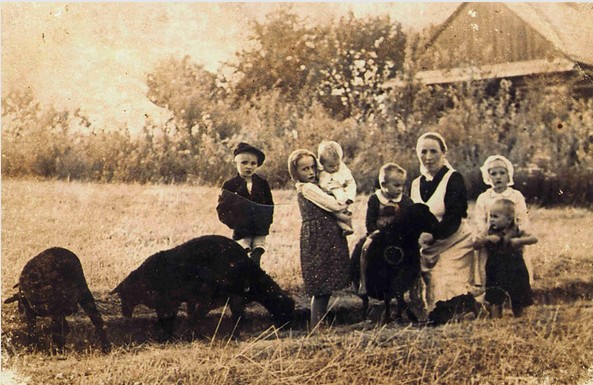 ScreenHunter_2180 May. 30 15.57