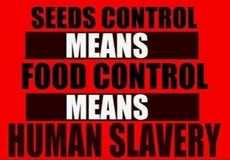 ScreenHunter_2211 May. 30 20.57