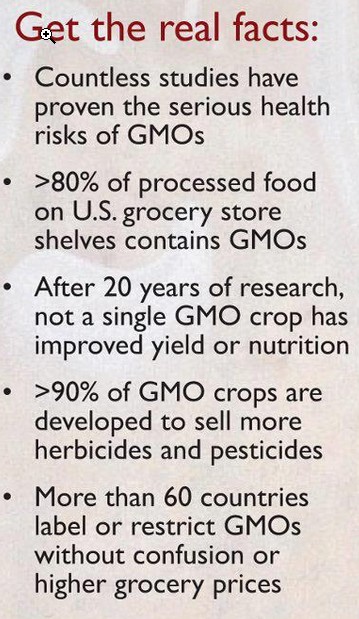 ScreenHunter_2214 May. 30 20.59