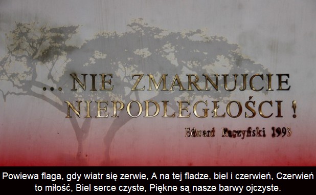 ScreenHunter_2357 Jun. 11 14.36