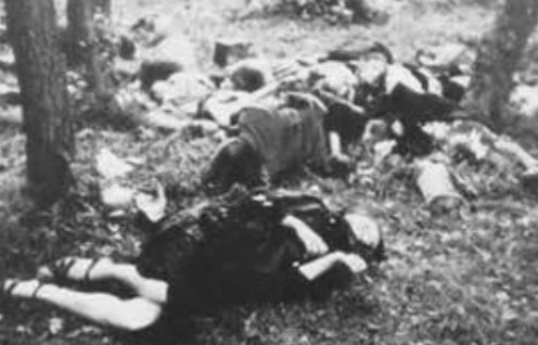 ScreenHunter_2627 Jul. 08 11.42