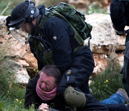 ScreenHunter_238 Aug. 07 20.14