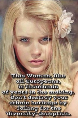 ScreenHunter_322 Aug. 22 17.22