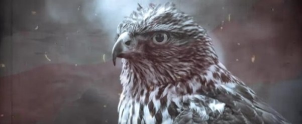 ScreenHunter_423 Sep. 02 09.11