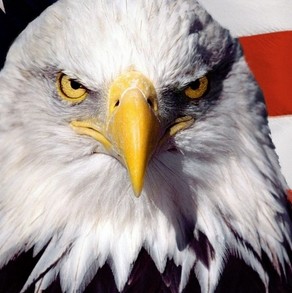 ScreenHunter_541 Sep. 12 17.29