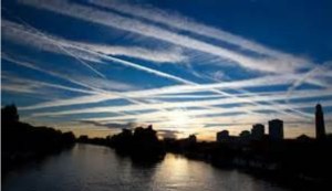 ScreenHunter_611 Sep. 19 21.02