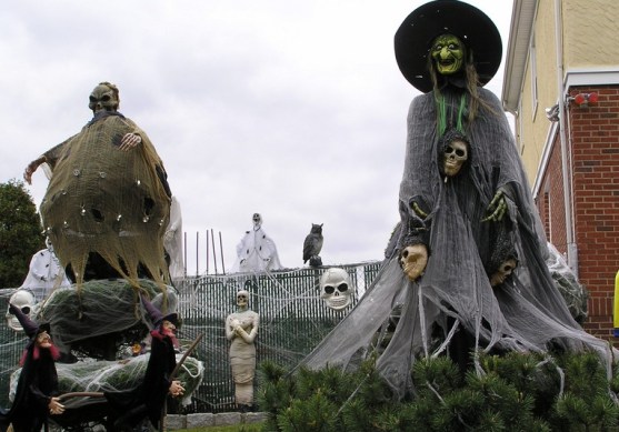 ScreenHunter_1064 Oct. 30 10.34