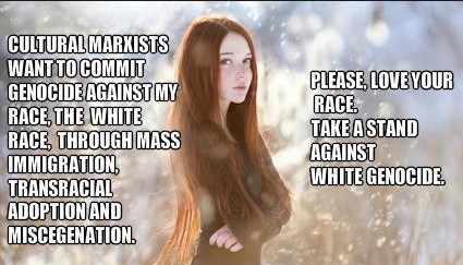 ScreenHunter_877 Oct. 14 21.37