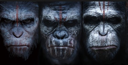 ScreenHunter_1179 Nov. 06 08.46