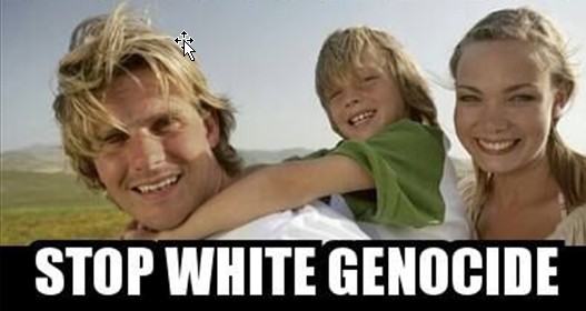 ScreenHunter_1183 Nov. 06 08.49