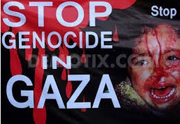 ScreenHunter_1339 Nov. 18 06.54