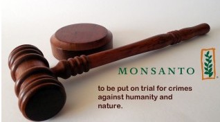 ScreenHunter_1643 Jan. 10 11.30.jpg