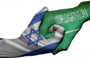 ScreenHunter_1865 Feb. 17 11.42