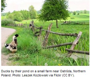 ScreenHunter_2028 Mar. 16 21.37