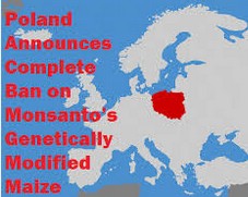 ScreenHunter_2030 Mar. 16 21.41