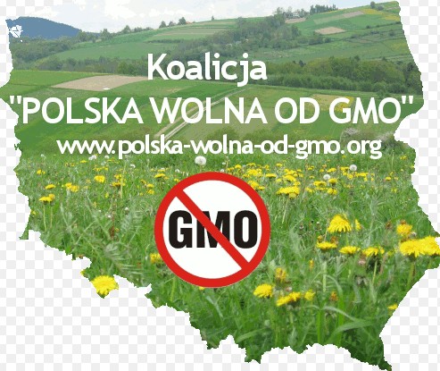 ScreenHunter_2031 Mar. 16 21.42