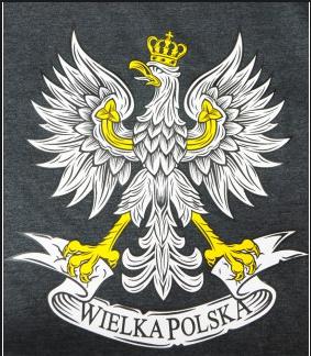 Wielka Polska