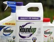 Poisonous Roundup