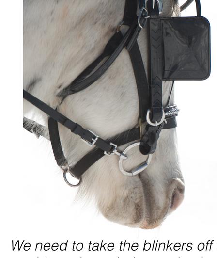 We need to take the blinkers off