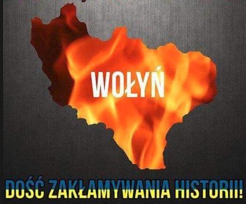 Wolyn12