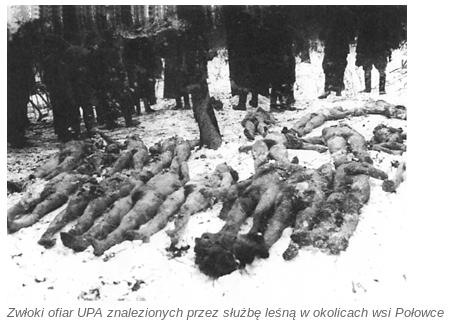 Zwloki ofiar UPA w Polowce