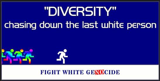 diversity-chasing-down-last-white-person