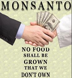 food-owned-by-monsanto