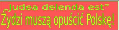 zydzi-musza-opuscic-polske2