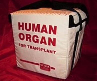 Bag with human organ