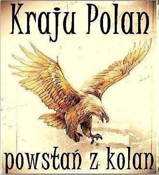 Kraju Polan powstan z kolan3