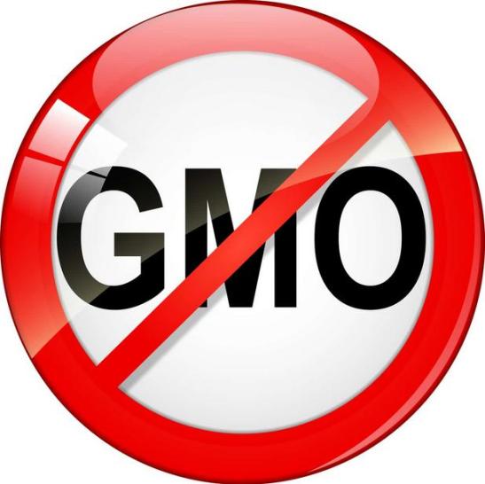 No to GMO