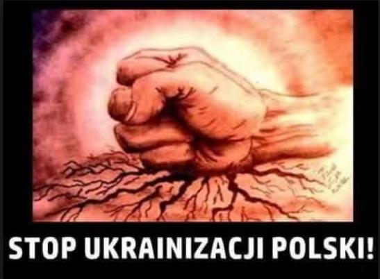 Stop ukrainizacji Polksi-duze