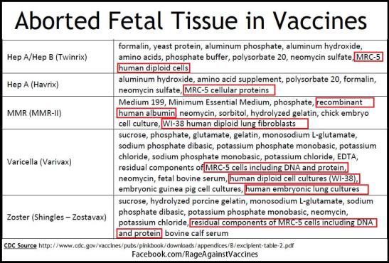 aborted-fetal-tissue