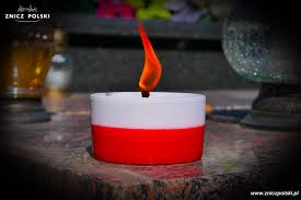 Znicz bialo-czerwony